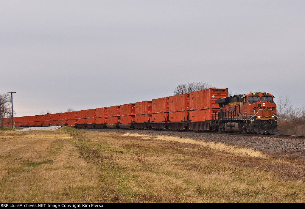 BNSF 6525 Schneider Train